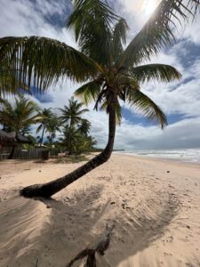 Barra Grande Bahia