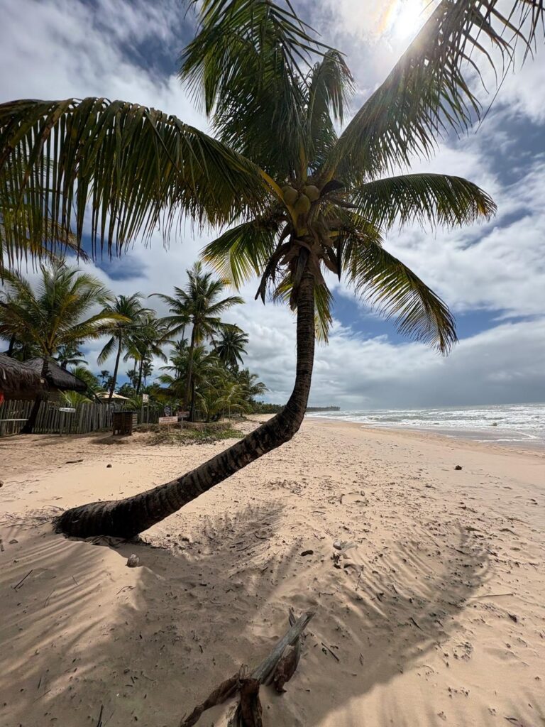 Marau Bahia Brasil