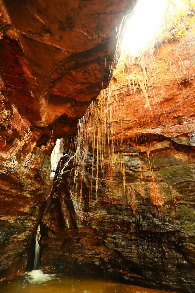 Gorge étroite et parois de grès humides couvertes de végétation du Cânion Sussuapara au Jalapão