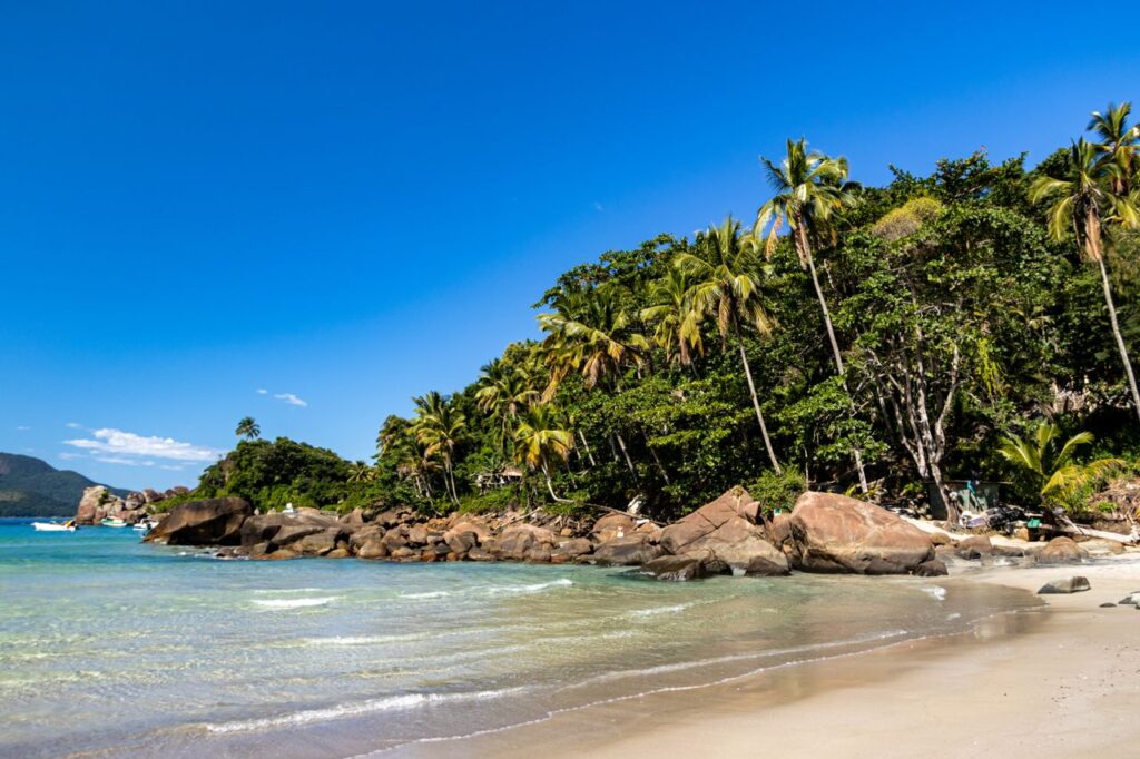 pexels-photo-17052272-17052272 Stunning beach view with palm trees and rocks in Angra dos Reis, Brazil.
