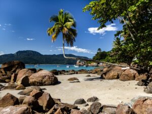 Célèbre cocotier couché à angle droit au-dessus des eaux cristallines de la Praia do Aventureiro à Ilha Grande