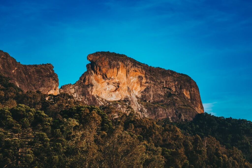 pexels-photo-2376992-2376992 Scenic view of a dramatic rock formation with surrounding forest and clear blue sky.
