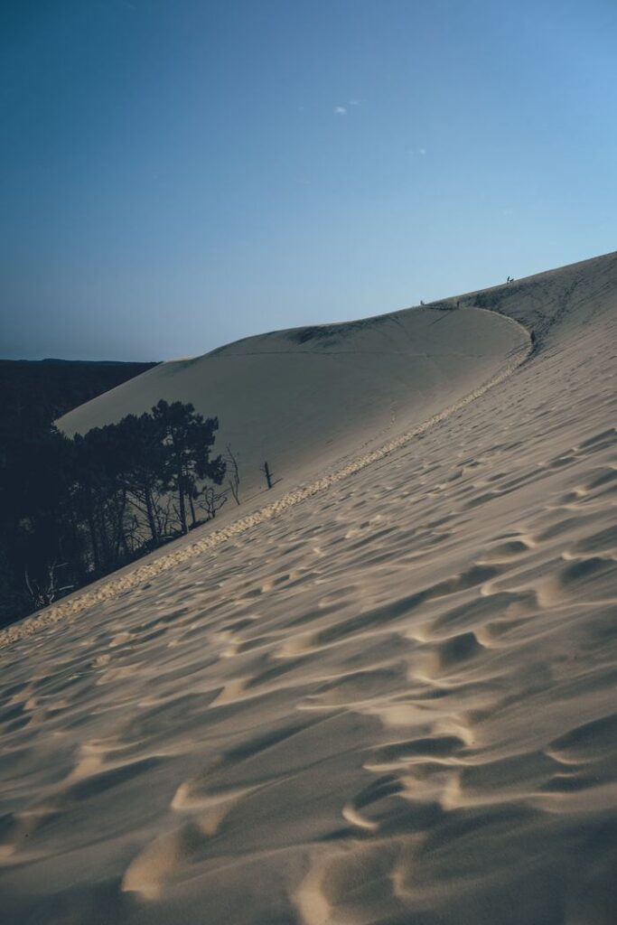 A vast expanse of sand dunes with subtle shadows under a clear blue sky, showcasing nature's beauty.