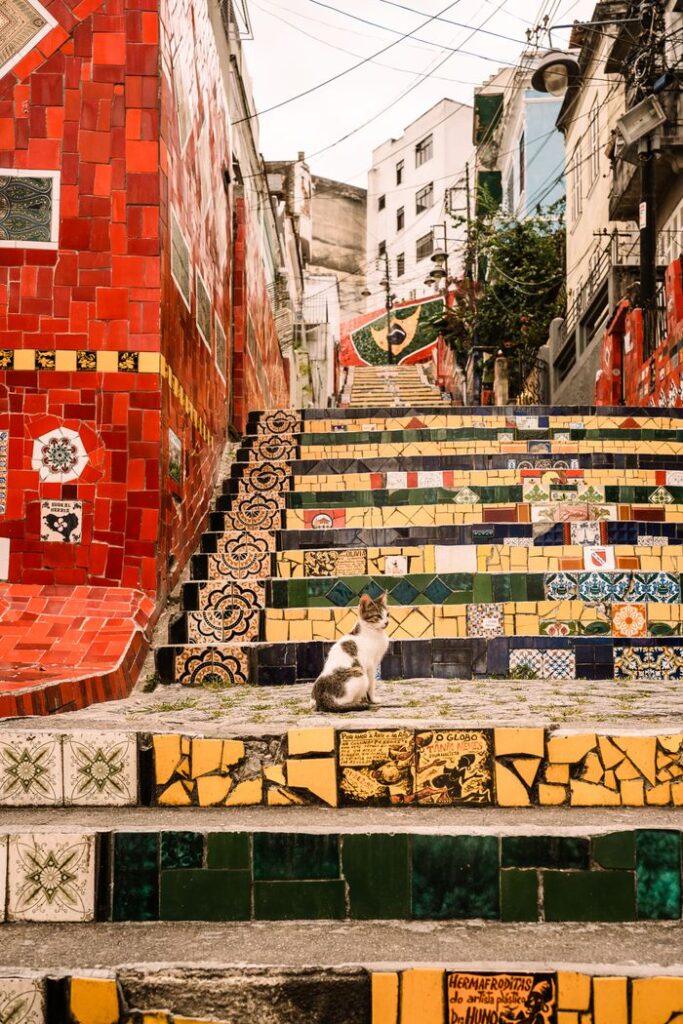 A delightful cat sitting on the vibrant Escadaria Selarón in Rio de Janeiro, Brazil.
