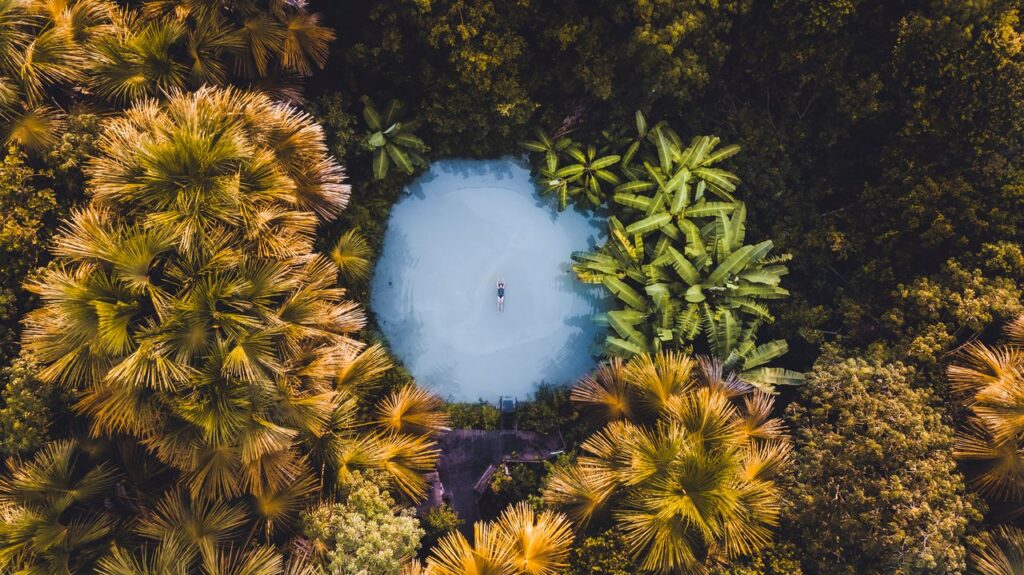Stunning aerial view of a tropical pool surrounded by lush greenery in Brazil, perfect for vacationers.