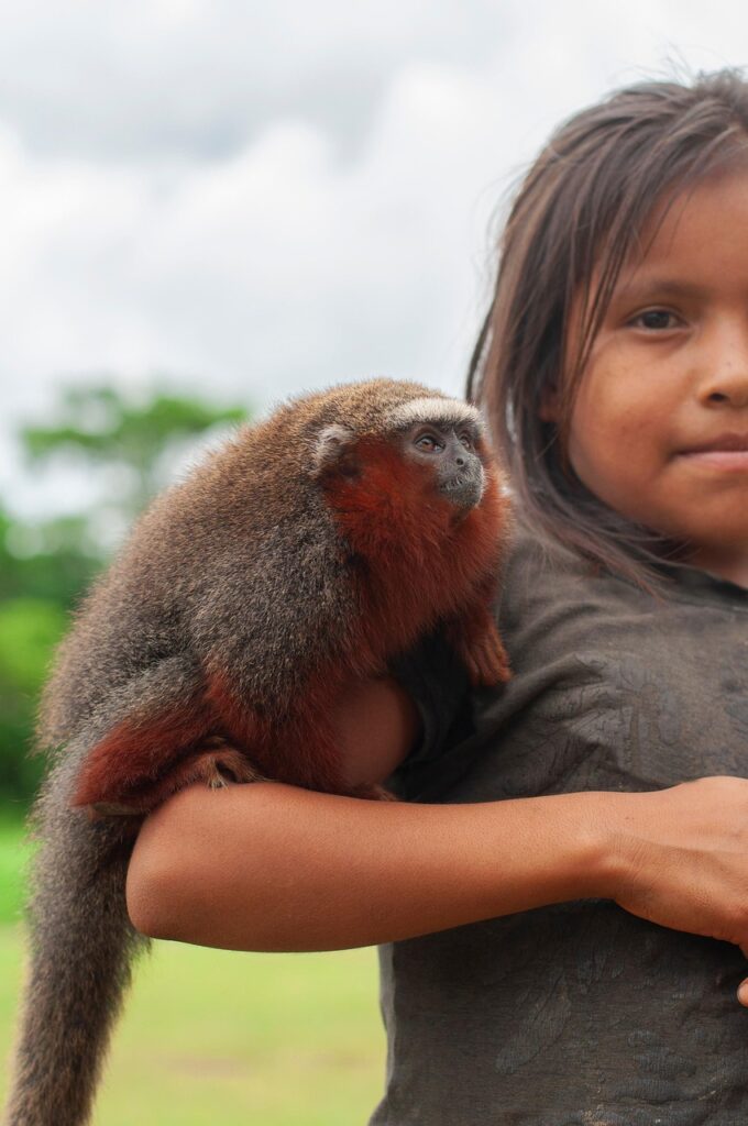 monkey, primate, ape, little girl, nature, amazonia, portrait