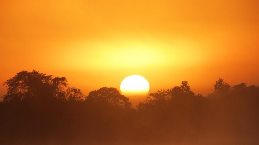 swamp, dawn, nature, day, sun, sunshine, cloud, mato grosso
