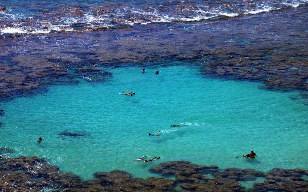 pexels-photo-946685-946685 Aerial view of people snorkeling in pristine turquoise waters in Honolulu's reef lagoon.